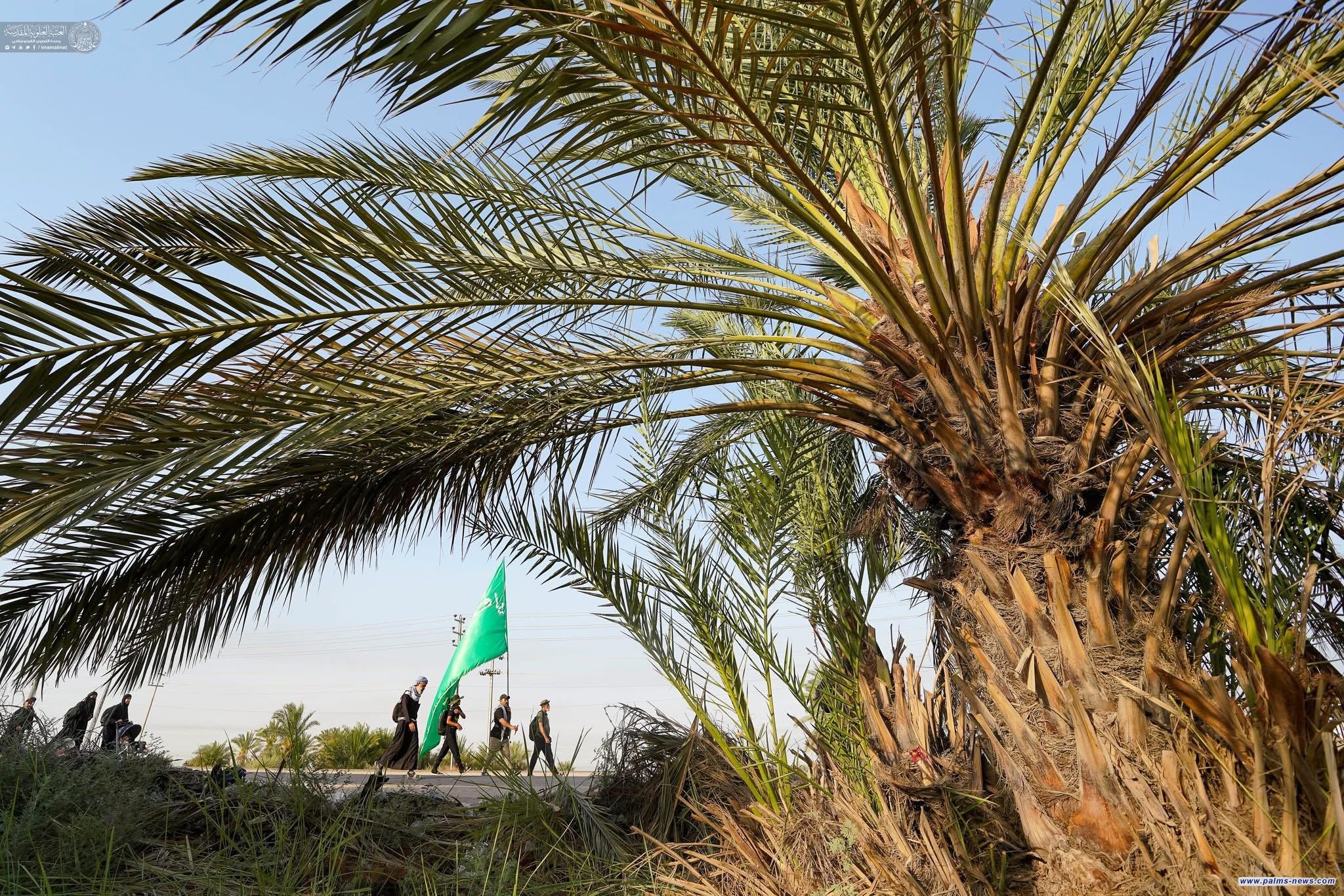 زوار أربعينية الإمام الحسين "ع" يواصلون السير مشياً على الأقدام باتجاه مدينة كربلاء المقدسة.